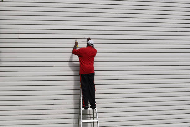 Best Siding Painting and Refinishing  in , SD